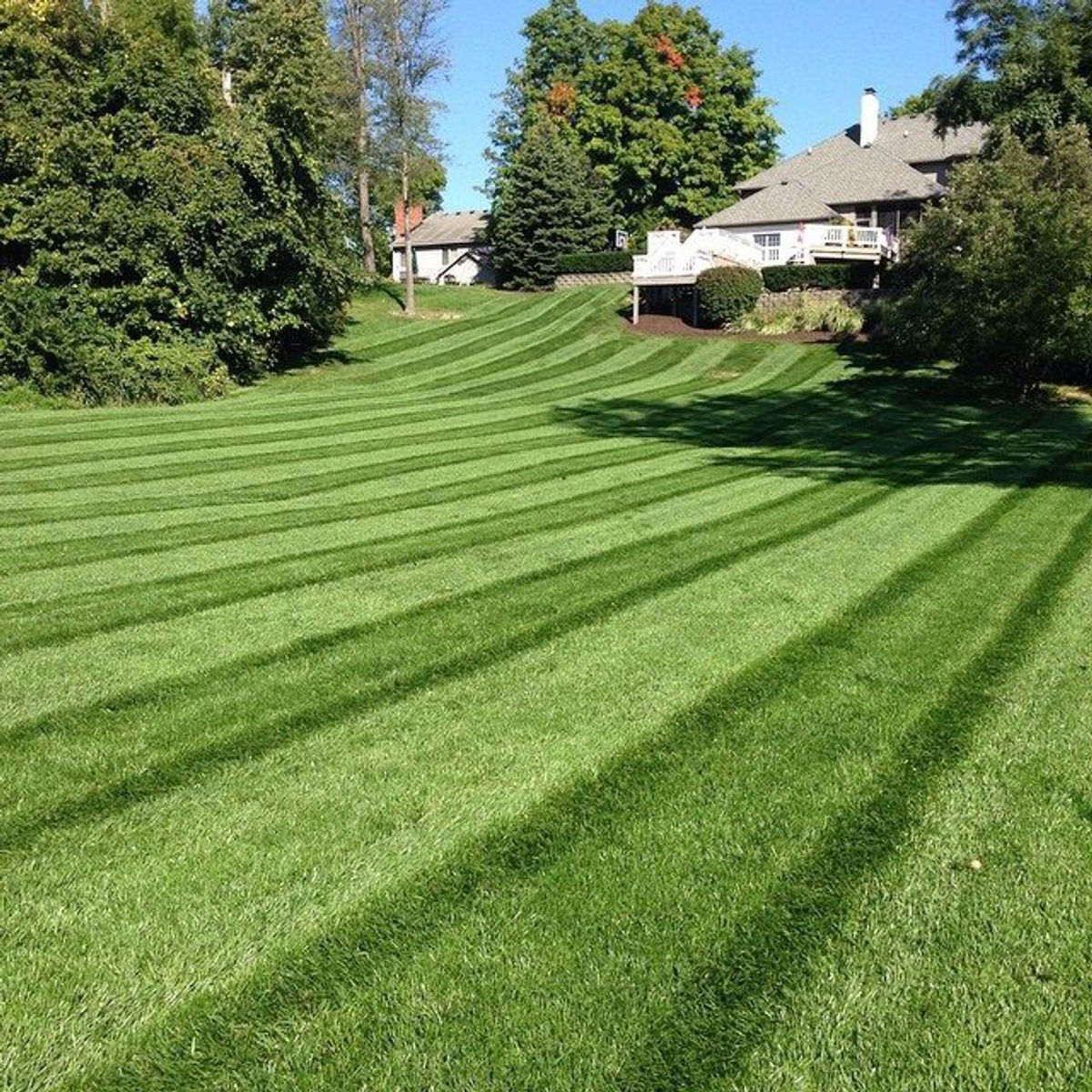 Freshly mowed lawn with clean diagonal stripes beside a Nashville home
